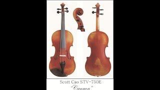 Scott Cao Violins (STV750)