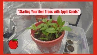 Part 2 "Planting Apple Seeds Like Johnny Appleseed: Trees Are Growing"