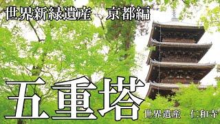 世界新緑遺産シリーズ　京都編「世界遺産　仁和寺の五重塔」　2024.5.6　撮影：CANON EOS 7D MarkⅡ＋ジンバルFeiyuTech SCORP-C五重塔