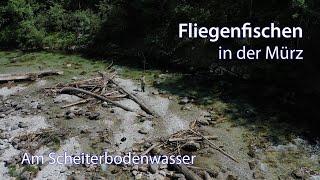 Fliegenfischen in der Mürz • Am Scheiterbodenwasser  • Teil 3