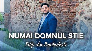 Filip din Barbulesti - NUMAI DOMNUL ȘTIE       [ 2023 ] -ABONAȚIVĂ-