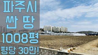 [21-203] 경기도 파주시 검산동 싼 땅 투자1008평 평당 30만원! 토지보상가격도 안되는 토지 매물! 농막주택, 주말농장 활용가능하고 신도시개발 가능성 있는 대박매물!!