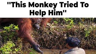 Monkey Memes