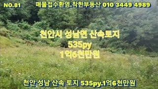 NO.81 천안시 성남면 대정리 535py. 매매1억6천만원   착한부동산 010 3449 4989