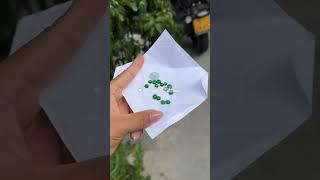 感謝各位家人們對我們璞玉齋和青青的玉的喜歡，結緣合集，感恩遇見 #翡翠直播 #古玉收藏 #翡翠 #翡翠手鐲 #和田玉 #jewelry #玉佩 #翡翠代購 #翡翠玉 #翡翠玉石 #翡翠手鐲