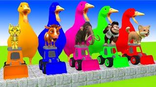 5 Giant Duck Cartoon,Cow,Lion,Dinosaur,Elephant,Sheep,Paint Wild Animals Crossing Fountain Animation