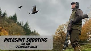 Pheasant Shooting | White Pheasant | Driven Birds