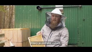 Hithit.cz - George Bee — nejlepší medovina na světě