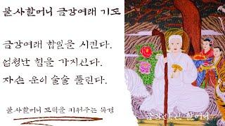  불사할머니 금강여래 - 금강여래와 합일하여 엄청난 도력 상승! 운이 술술 풀린다.