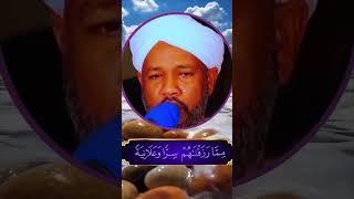 Sheikh Alzain Mohamed Ahmed#الشيخ الزين محمد أحمد#quran#islam #allah #mohammad #