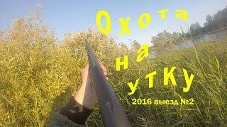 Удачная охота на утку 2016г. Duck hunting!
