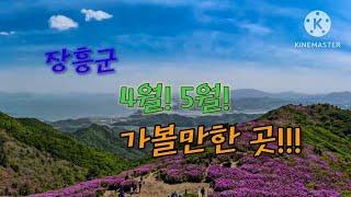 정남진 장흥 유채 금계국 철쭉 가볼만한 곳