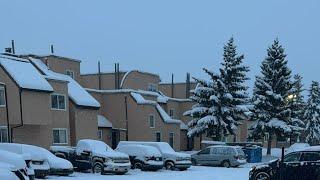 SNOWFALL ️️||Calgary Alberta Canada