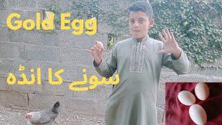 Safwan jadoon village vlog Gold Egg/Sony k Anda/ #safwanjadoon#village#dailyvlog#villagelifestyle