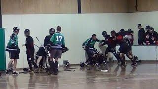 Best Ball Hockey Fights Brawls Best Ball Hockey Fist Fights ( UFC + MMA ) Not Bench Clearing