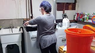 Processing Wool: Washing a Cotswold Fleece