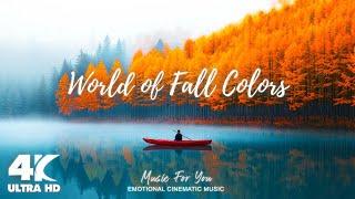 Enchanting Autumn ForestsExploring Stunning Autumn Around The World, Autumn 4K