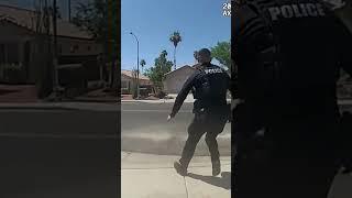 Body cam shows Glendale officers wrangling lost goats #shorts