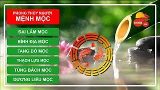 MỆNH MỘC và Phong Thủy | Ngũ hành nạp âm lục thập hoa giáp