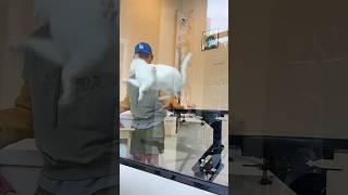 Cat Grooming Gone Wrong 🫣