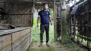 A kind police officer helps a single mother spray weeds, a single mother picks bamboo shoots to sell