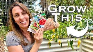 Vegetables that WORK!!! TOP PICKS for Florida Vegetable Garden