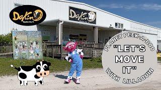 #DakinDairyFarms #ChildrensExercise Episode  #PlanetPeekABoo #kidsactivities #DanceandExercise