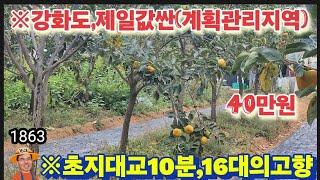 ※250평값으로500평구입※강화도토지 강화도땅 강화도부동산 강화도농막 강화도농가주택 강화도전원주택 김포토지 강화농지 부성부동산Tv