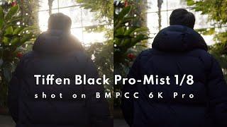 BMPCC6K Pro and Tiffen Black Pro-Mist 1/8 - Side-By-Side Comparison