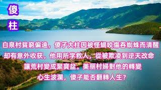 93  白泉村貧窮偏遠，傻子大柱因被怪蝎咬傷吞蜘蛛而清醒，却有意外收获。他用所学救人，從被欺凌到逆天改命，讓荒村變成聚寶盆。美丽村婦對他的轉         變心生波瀾，傻子能否翻轉人生？