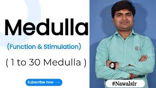 Function of Medulla Point | 1 to 30 Medulla Function | Practical of #Medulla By #Nawalsir 9718425042