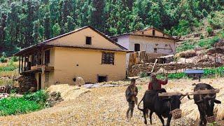 Most Beautiful Nepali Mountain village||Naturally Most Beautiful Nepal||@RURALLIFENEPAL