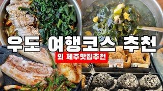 우도 여행코스 추천 총정리 팔로우 팔로우 미〰️ 맛집이랑 가볼만한 곳 다 모아놓음️‍