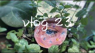 vlog23 雨天的生活片段，做个乌龙茶画个木板玩