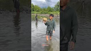 Begini penampakan kepiting moster saat panen di tambak