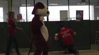 Harlem Shake - Petland Lake Saint Louis