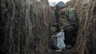 Ukrainian war song about trench warfare "Me, my buddy and 2 shovels"