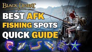 BDO | Highest Passive Income | 1Bil Every Night - Best AFK Fishing Spots | Quick Guide