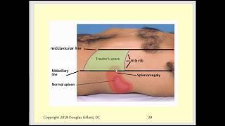 Palpation of the Liver & Spleen +