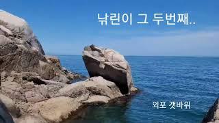 외포 | 벵에돔 낚시 | 부부조사 | 낚린이