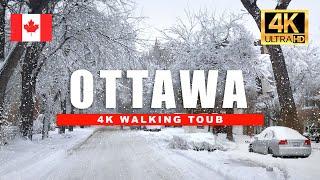 Epic Snowstorm in Ottawa!  Suburban Winter Walk in Stunning 4K [HDR/60fps]