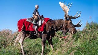 6 Week Alaskan Adventure! Fishing Camping Hiking & Exploring Alaska with Family