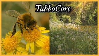 Looking up Tubbo but with “Core” at the end (Part 1) #shorts