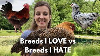 3 BEST & 3 WORST CHICKEN BREEDS | Opinions of a Breeder & Homesteader