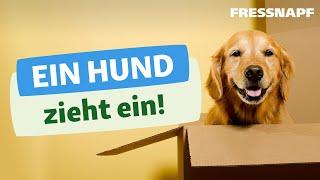 Ein Hund zieht ein - Alles zum Start mit dem neuen Hund