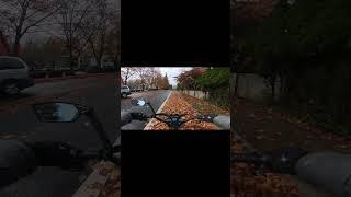 Bike Lanes Invaded By Leaves! #ebike #rain #road #bikelanes #ebiketips