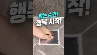 진작 살걸... 욕실 냄새 스트레스 끝낸 아이템!