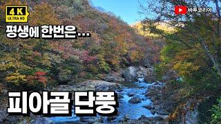 평생에 한번은 이곳, 피아골 단풍 | 지리산10경 | 연곡사-삼홍소-피아골 대피소 | 11km 5시간