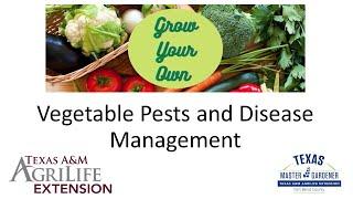 Vegetable Pest and Disease Management (05.10.2025)