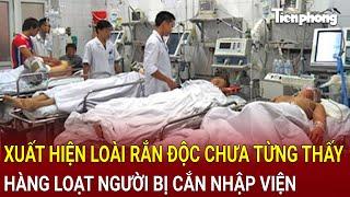 Bản tin thời sự 21/9:Bất ngờ xuất hiện loài rắn độc chưa từng thấy, hàng loạt người bị cắn nhập viện